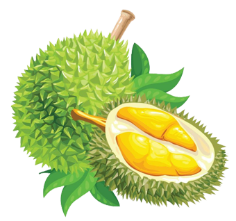 Musang King / Raja Kunyit D197